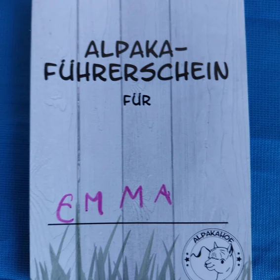 KF_Alpka_14.jpg